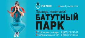 Fly zone макет